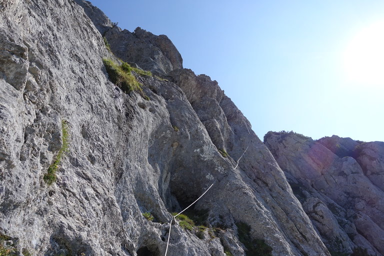 Klettersteiggarten am Stoderzinken - Impression #2.10 | © Alois Guggi