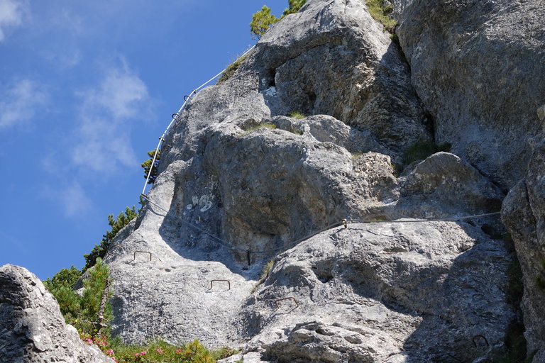 Klettersteiggarten am Stoderzinken - Impression #2.17 | © Alois Guggi 