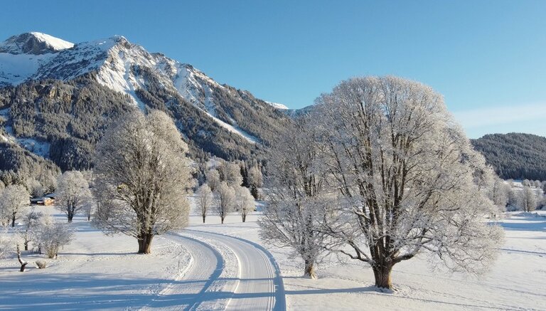 Cross-Country Ski School Hotel Annelies  - Impression #2.5 | © Langlaufschule Hotel Annelies in Ramsau am Dachstein