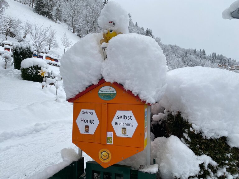 Master beekeeper  - Impression #2.3 | © Gebirgsimkerei Schladming