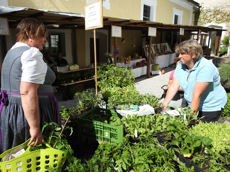 Sölker Garden Day - Imprese #2.3