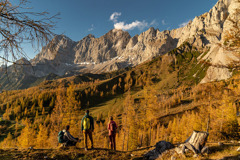 Herbst am Brandriedl  | © Christine Höflehner