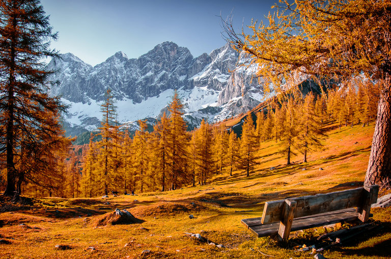 Indian Summer at Brandriedl I Ramsau am Dachstein | © René Eduard Perhab