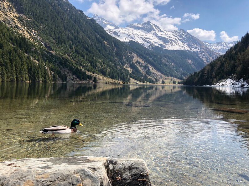 Riesachsee | © Kathrin Hutegger