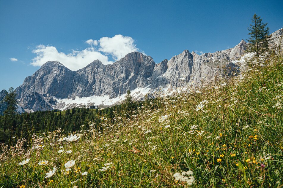 View of the Dachstein mountain | © Christine Höflehner