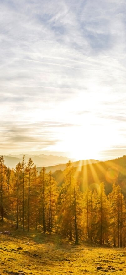 THEMENBILD - Lärchen im Herbst. Orange und gelb gefärbte Lärchen, sogenanntes Lärchengold, auf dem Brandriedel am Fuße des Dachstein-Gebirges. Sonnenuntergang, Panoramabild aus zwei Einzelaufnahmen. Aufgenommen am 17.10.2022 in Ramsau am Dachstein, Schladming, Steiermark, Österreich (Austria).
Fotocredit: Martin Huber