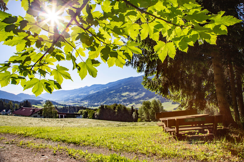 Panorama Ennstal | © Loretta Kvitek