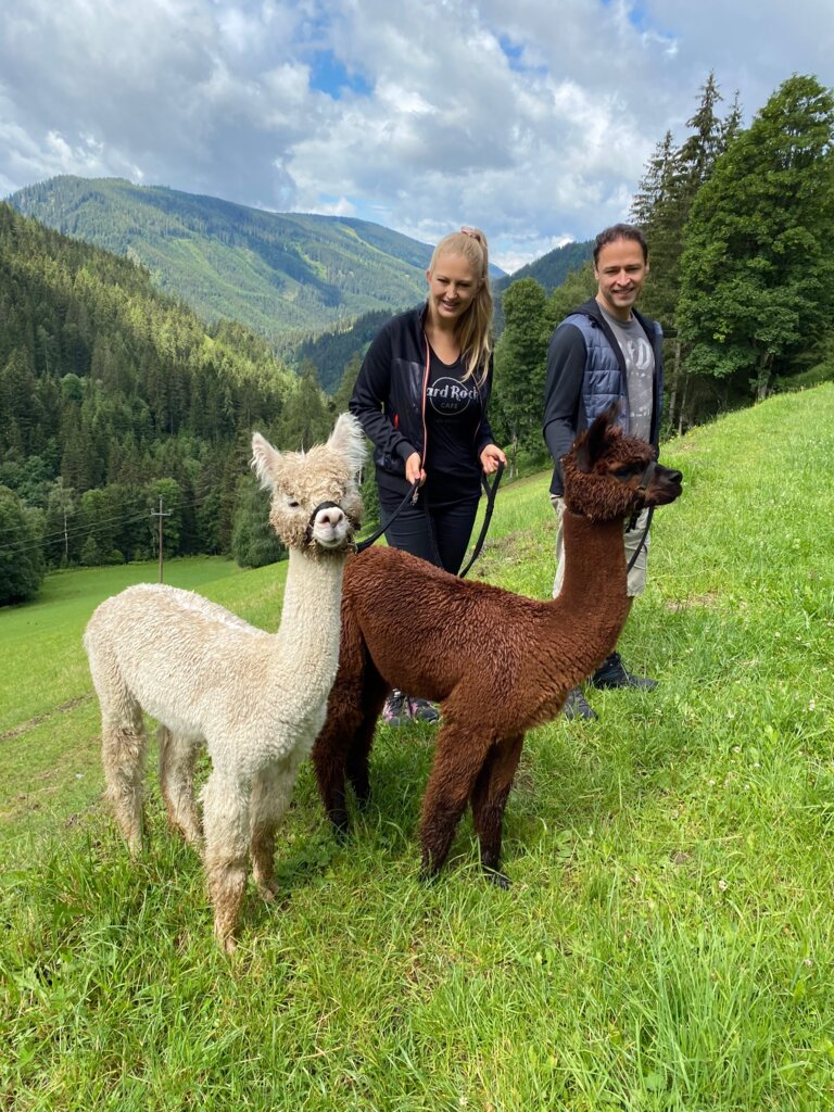 Dachstein Alpacas at Biobauernhof Grundlehner - Imprese #2.1 | © Dachsteinalpakas