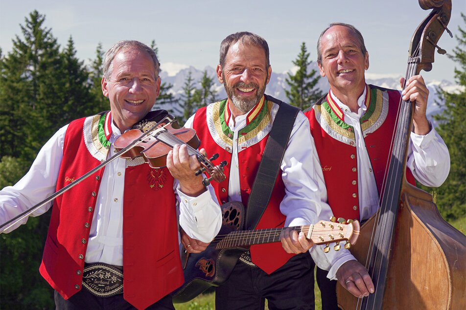 Steirisch-Salzburgerisch-Tirolerisch  - Imprese #1