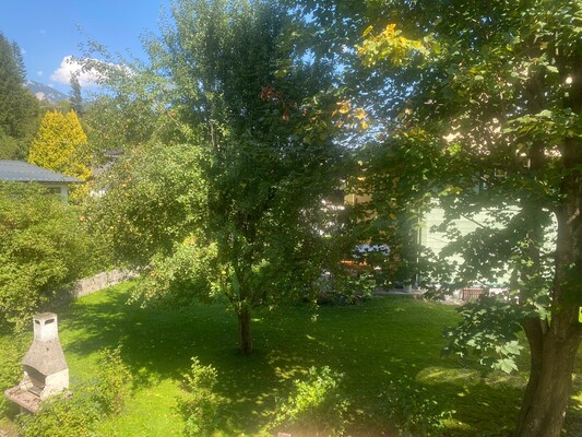 Aussicht in den Garten 