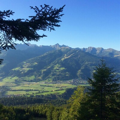 Berggasthof Scharfetter - Ausblick Sommer