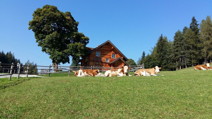 Sommer Bichlhütte