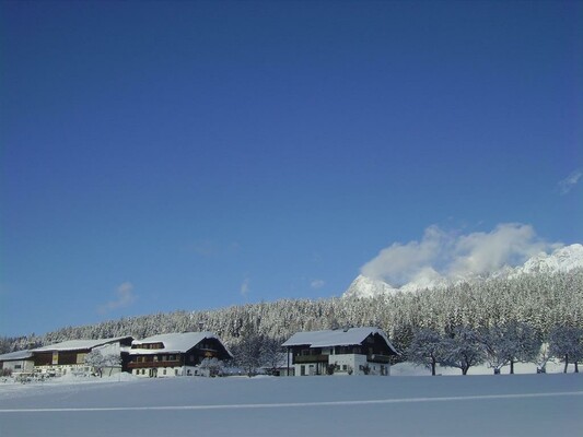 Winter am Frienerhof