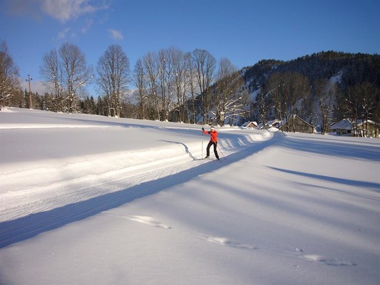 herrliche Loipen in Hausnähe | © Familie Wieser - www.wiesbach.at