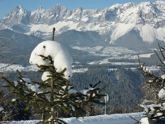 Aussicht vom Haus