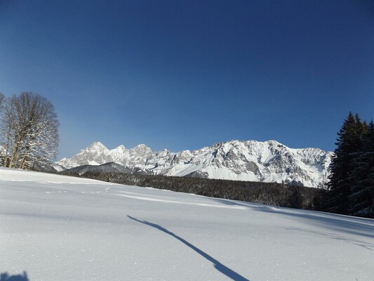 Blick auf den Dachstein