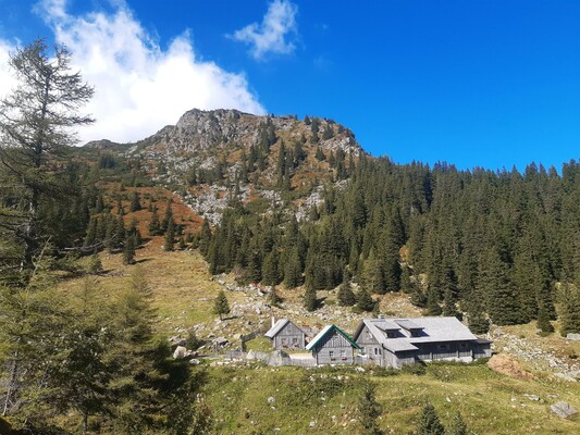 Kaltenbachalm im Herbst | © Fuchs Manuela