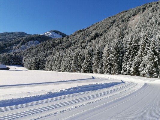 Loipe Donnersbachwald