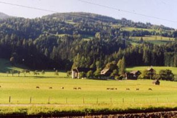 Moarhof Au Sommer