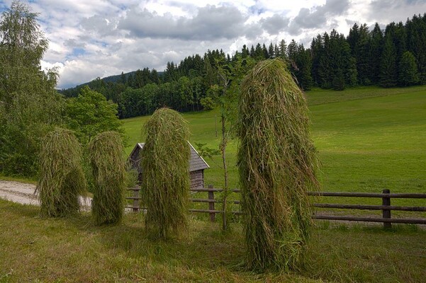 Moserhof - Hifler mit Stadl