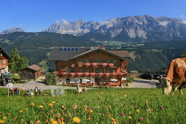 Rücklhof_Schladming-Dachstein_holiday on a farm_earthly_cozy