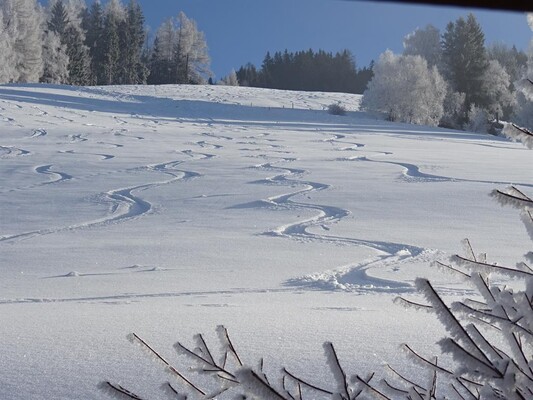 Schispuren | © Thonnerhof