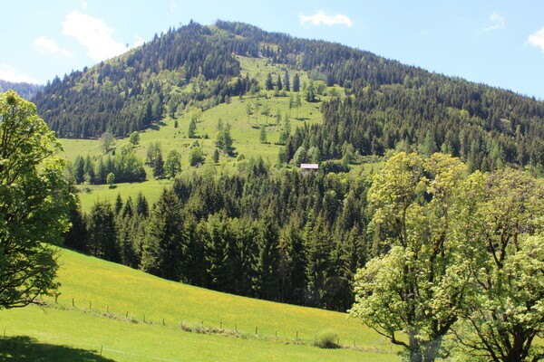 Die Alm