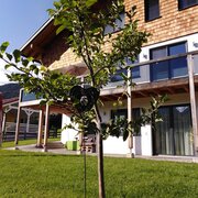 Appartement Dorrer Außenansicht