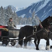 Pferdeschlittenfahrt im Schnee