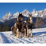 Pferdeschlittenfahrt Ortnerhof