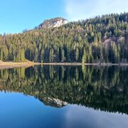 See spiegelt